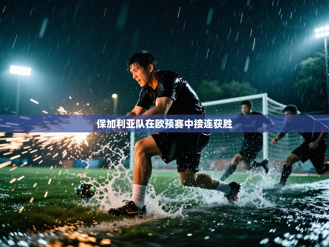 保加利亚队在欧预赛中接连获胜